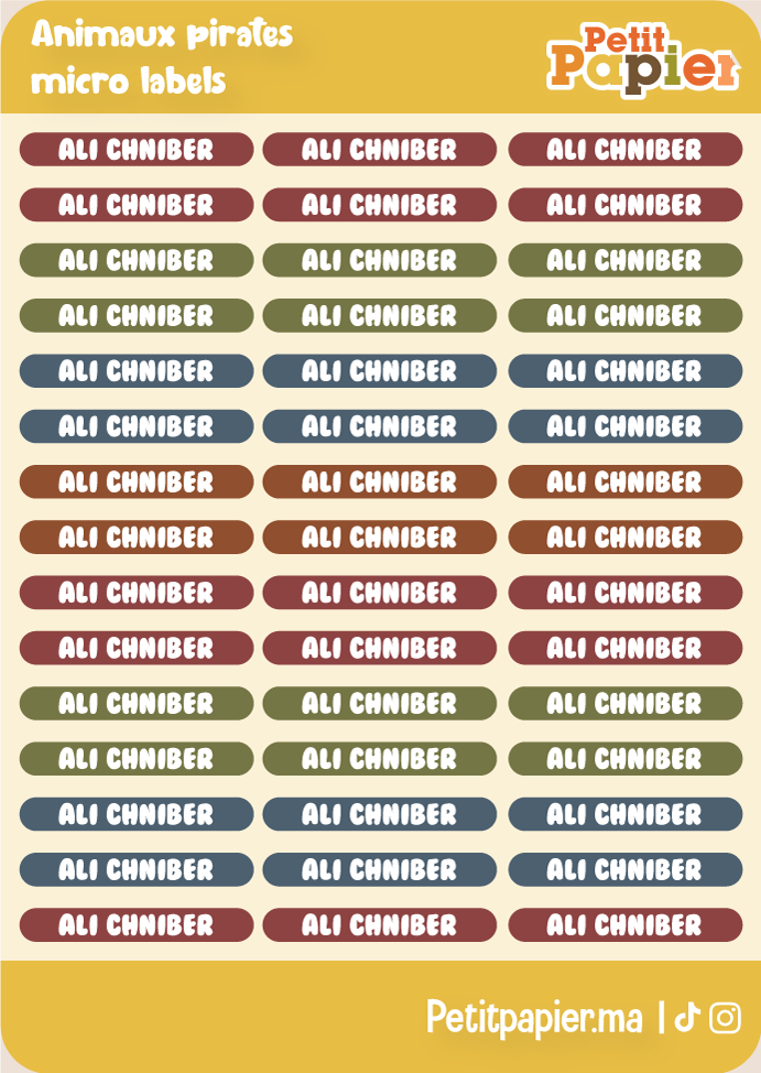 Animaux pirates - Micro labels - 90 Stickers