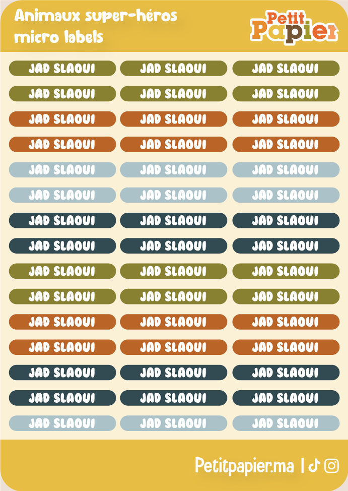 Animaux super-héros - Micro labels - 90 Stickers